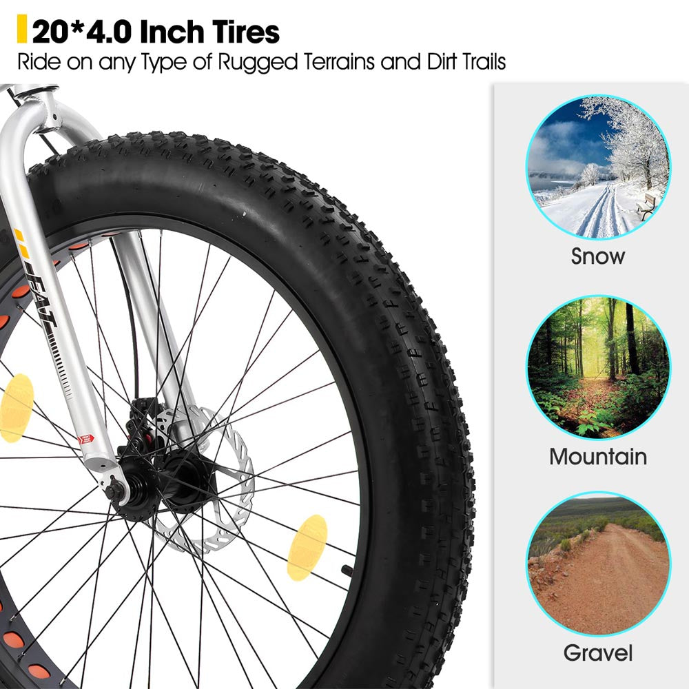 HILAND Roon 20 Inch Kids' Bicycles Fat Tire Mountain Bike for Boys and Girls