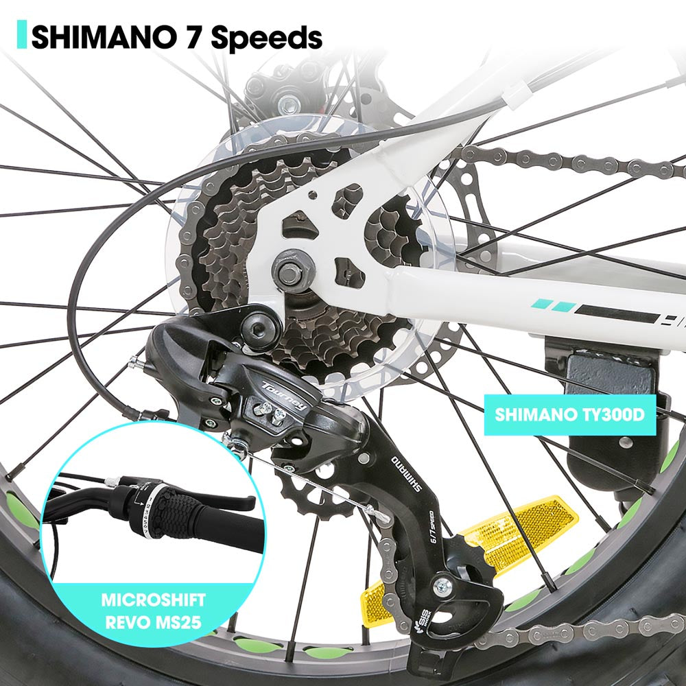 HILAND Roon 20 Inch Kids' Bicycles Fat Tire Mountain Bike for Boys and Girls