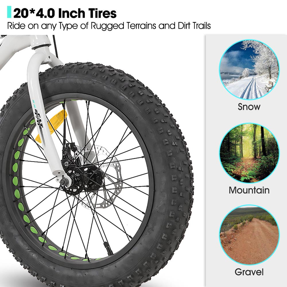 HILAND Roon 20 Inch Kids' Bicycles Fat Tire Mountain Bike for Boys and Girls